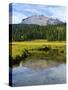 Lassen Volcanic National Park, California, United States of America, North America-Michael DeFreitas-Stretched Canvas