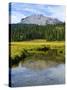 Lassen Volcanic National Park, California, United States of America, North America-Michael DeFreitas-Stretched Canvas