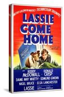 "Lassie Come Home" 1943, Directed by Fred Wilcox-null-Stretched Canvas