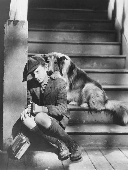 Lassie Come Home Roddy Mcdowall 1943 Photo 