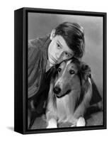 Lassie Come Home, Roddy McDowall, Lassie, 1943-null-Framed Stretched Canvas