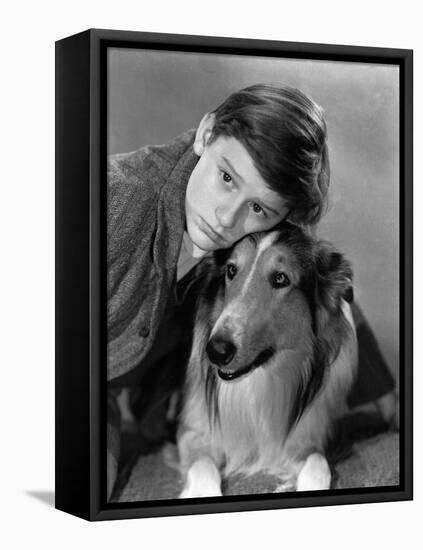 Lassie Come Home, Roddy McDowall, Lassie, 1943-null-Framed Stretched Canvas