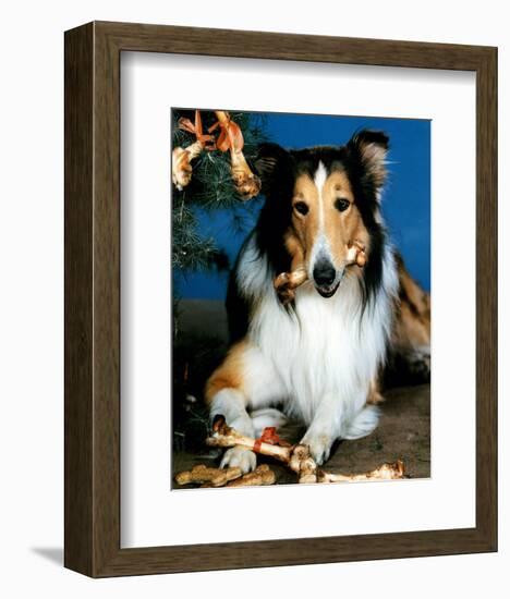 Lassie-null-Framed Photo