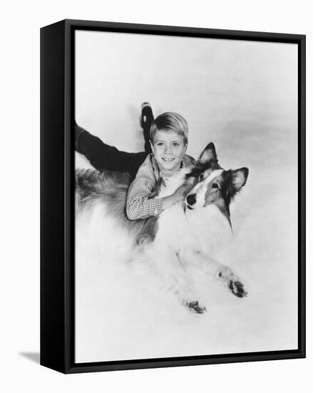 Lassie-null-Framed Stretched Canvas