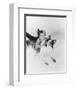 Lassie-null-Framed Photo