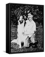 Lassie-null-Framed Stretched Canvas