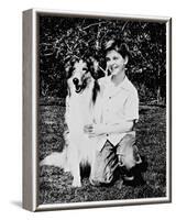 Lassie-null-Framed Photo