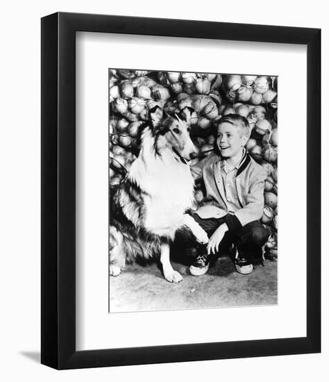 Lassie-null-Framed Photo