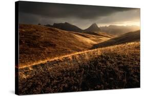 Last Autumn Light-Enrico Fossati-Stretched Canvas