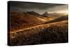 Last Autumn Light-Enrico Fossati-Stretched Canvas