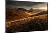 Last Autumn Light-Enrico Fossati-Mounted Photographic Print