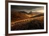 Last Autumn Light-Enrico Fossati-Framed Photographic Print