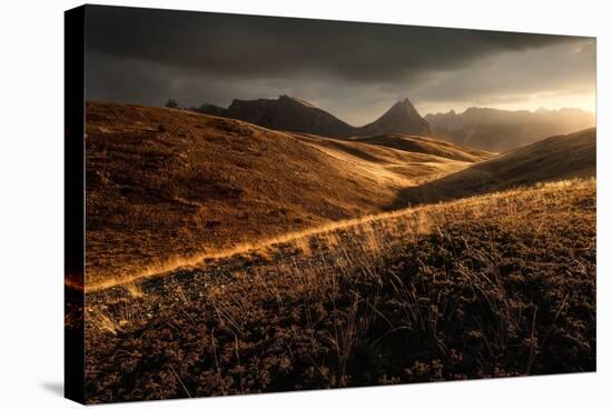 Last Autumn Light-Enrico Fossati-Stretched Canvas