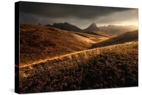 Last Autumn Light-Enrico Fossati-Stretched Canvas