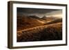 Last Autumn Light-Enrico Fossati-Framed Photographic Print