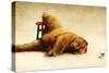 Last Call for the Beer Bear-Will Bullas-Stretched Canvas