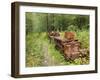 Last Chance Mining Museum and Train, Juneau, Southeast Alaska, Alaska, USA-Walter Bibikow-Framed Premium Photographic Print