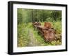 Last Chance Mining Museum and Train, Juneau, Southeast Alaska, Alaska, USA-Walter Bibikow-Framed Premium Photographic Print