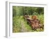 Last Chance Mining Museum and Train, Juneau, Southeast Alaska, Alaska, USA-Walter Bibikow-Framed Photographic Print