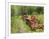 Last Chance Mining Museum and Train, Juneau, Southeast Alaska, Alaska, USA-Walter Bibikow-Framed Photographic Print