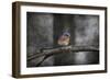 Last Day Home Bluebird-Jai Johnson-Framed Giclee Print