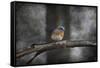 Last Day Home Bluebird-Jai Johnson-Framed Stretched Canvas