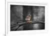 Last Day Home Bluebird-Jai Johnson-Framed Giclee Print