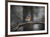 Last Day Home Bluebird-Jai Johnson-Framed Giclee Print