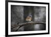 Last Day Home Bluebird-Jai Johnson-Framed Giclee Print