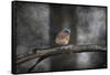 Last Day Home Bluebird-Jai Johnson-Framed Stretched Canvas