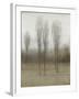 Last Day of Fall I-null-Framed Art Print