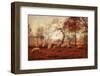 Last Days of Autumn-Ellen van Deelen-Framed Photographic Print