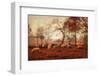 Last Days of Autumn-Ellen van Deelen-Framed Photographic Print