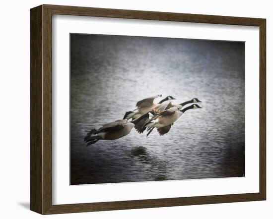 Last Flight of the Day-Jai Johnson-Framed Giclee Print