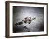 Last Flight of the Day-Jai Johnson-Framed Giclee Print