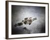 Last Flight of the Day-Jai Johnson-Framed Giclee Print