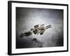 Last Flight of the Day-Jai Johnson-Framed Giclee Print