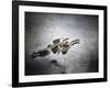 Last Flight of the Day-Jai Johnson-Framed Giclee Print