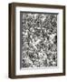 Last Judgement-Albrecht Dürer-Framed Giclee Print