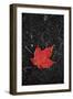 Last Leaf of the Fall-duallogic-Framed Photographic Print