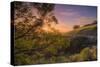 Last Light at Mount Diablo, Northern California-Vincent James-Stretched Canvas