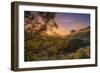 Last Light at Mount Diablo, Northern California-Vincent James-Framed Photographic Print