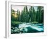 Last Light In Sequoia National Park-Daniel Kuras-Framed Photographic Print