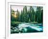 Last Light In Sequoia National Park-Daniel Kuras-Framed Photographic Print