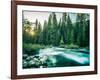 Last Light In Sequoia National Park-Daniel Kuras-Framed Photographic Print