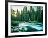 Last Light In Sequoia National Park-Daniel Kuras-Framed Photographic Print