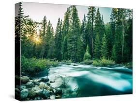 Last Light In Sequoia National Park-Daniel Kuras-Stretched Canvas