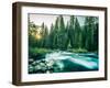 Last Light In Sequoia National Park-Daniel Kuras-Framed Photographic Print