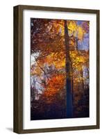 Last Light of the Day Shining Through-George Oze-Framed Photographic Print