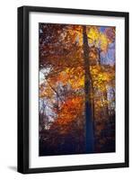 Last Light of the Day Shining Through-George Oze-Framed Photographic Print